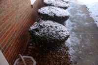 dec-20060010.jpg